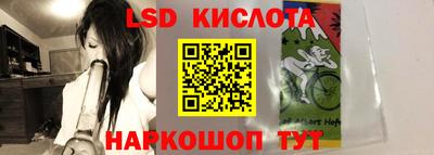 крисы Тулун
